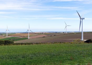 Farma wiatrowa, fot. Pixabay