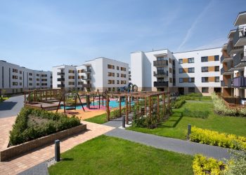 Zielone dachy zmniejszają skutki zmian klimatycznych