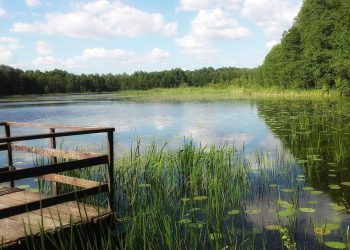 Jysk zredukuje o połowę emisję gazów cieplarnianych