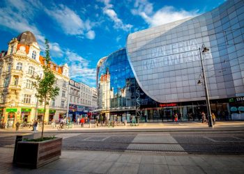 Plonobranie w Galerii Katowickiej – warzywa i owoce prosto z grządki