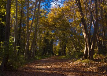 9 mln dotacji dla Warszawy na utworzenie Centrum Edukacji Ekologicznej