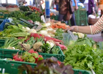 Polska w czołówce krajów marnujących żywność. Gospodarstwa domowe wyrzucają prawie 3 mln ton jedzenia rocznie