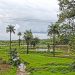 Gambia to jedyny kraj, który realizuje cel 1,5°C Porozumienia Paryskiego