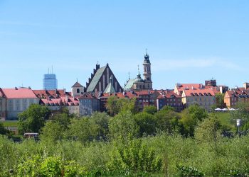 Ruszyła piąta edycja akcji Warszawskie Święto Drzewa