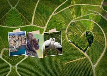 Raben świętuje jubileusz i uruchamia ekogłosowanie