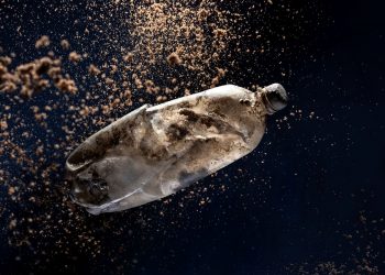 Ekologiczna wystawa plenerowa w Gorzowie Wielkopolskim