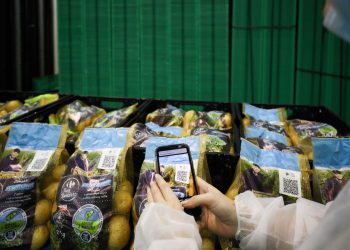 Blockchain sprawdzi jakość ziemniaków. Carrefour rusza z pionierskim projektem