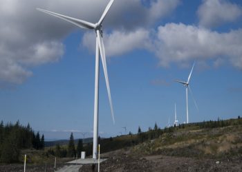 Kolejna farma wiatrowa Amazona. Tym razem w Szkocji