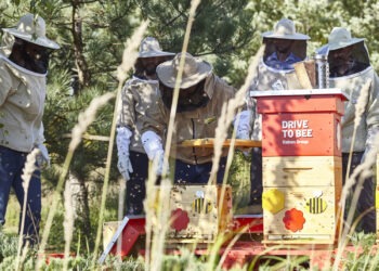 Centrala Grupy Raben stała się domem dla pszczół