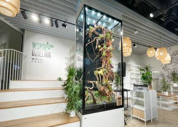 Współdzielnik – nowe ekologiczne miejsce w stolicy