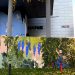 Ekologiczny mural od ING w Katowicach