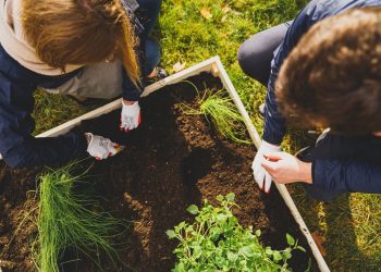 Ruszyła kampania wspierająca ogrody społeczne