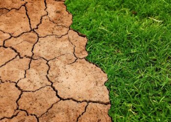 Schneider Electric i 10 największych firm farmaceutycznych uruchamiają pionierski program na rzecz klimatu