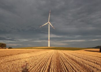 Wsparcie z Funduszy Norweskich m.in. na rozwój ekologiczny miast