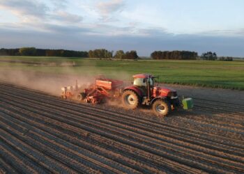 Danone regeneruje gleby w Polsce