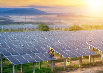 Kolejny duży projekt farmowy znalazł się w portfolio Columbusa