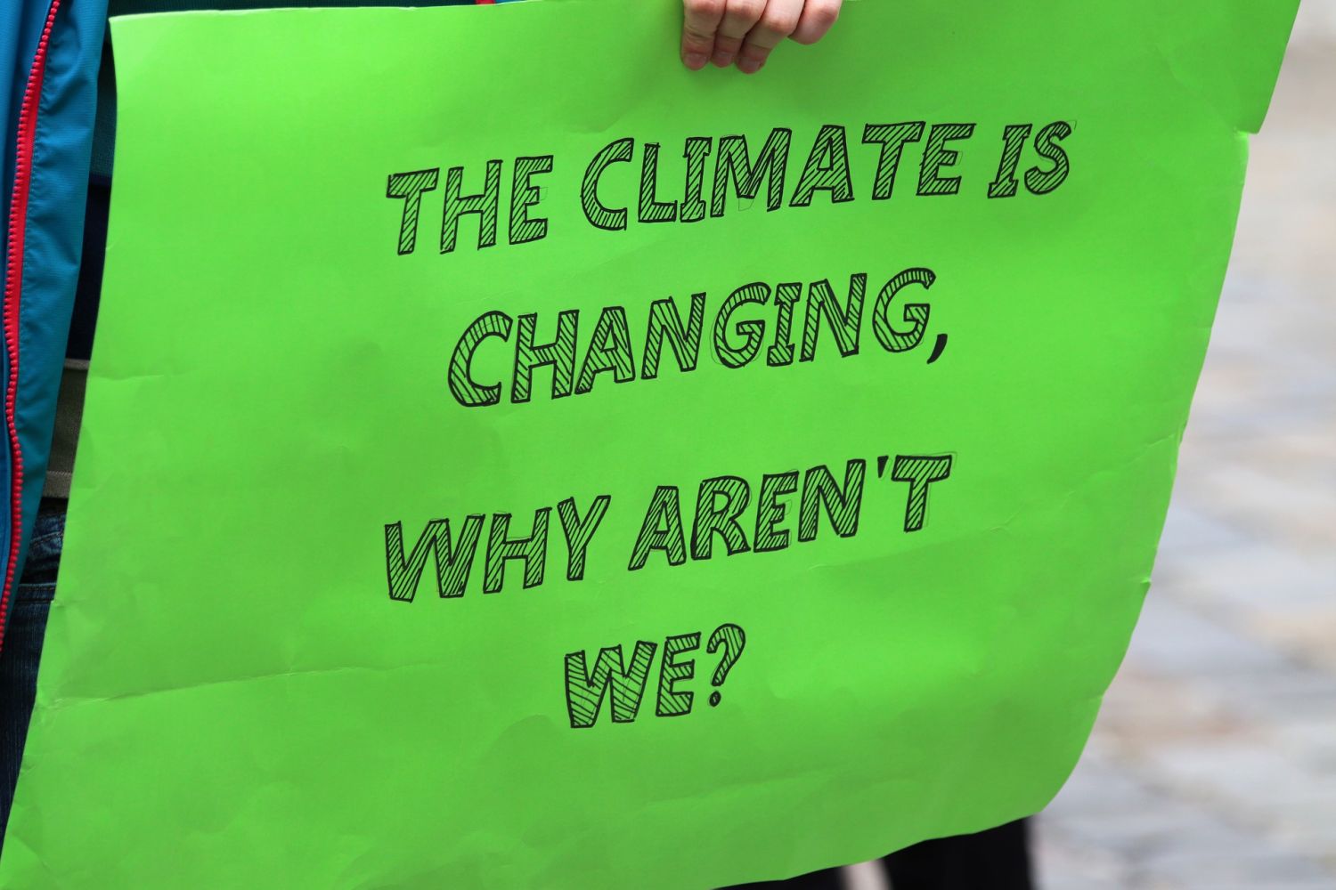 Manifestacja przeciwko zmianom klimatu