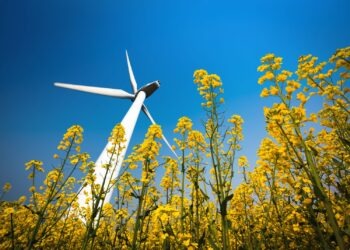 Co mieszkańcy woj. lubelskiego myślą o rozwoju energetyki wiatrowej w ich okolicy?