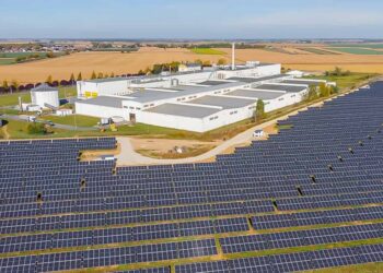 11 500 paneli – producent mrożonych frytek otworzył przy swojej fabryce farmę solarną
